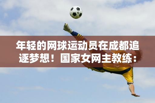 使得球队能