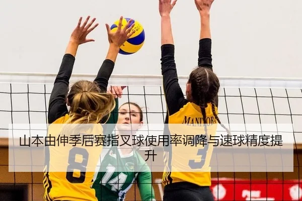 shan-ben-you-shen-ji-hou-sai-zhi-cha-qiu-shi-yong-lv-diao-jiang-yu-su-qiu-jing-du-ti-sheng-2-240.jpg