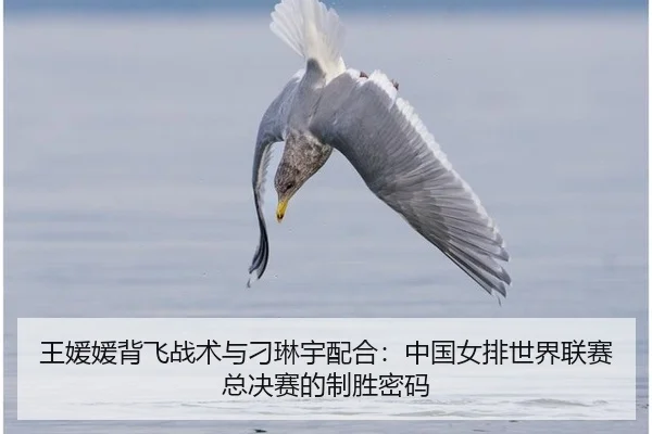 王媛媛背飞战术与刁琳宇配合：中国女排世界联赛总决赛的制胜密码