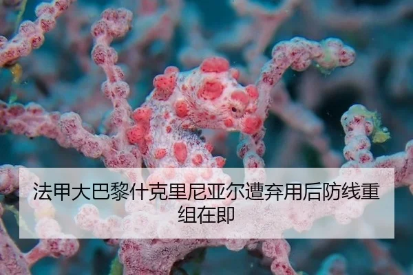 fa-jia-da-ba-li-shen-ke-li-ni-ya-er-zao-qi-yong-hou-fang-xian-chong-zu-zai-ji-2-159.jpg